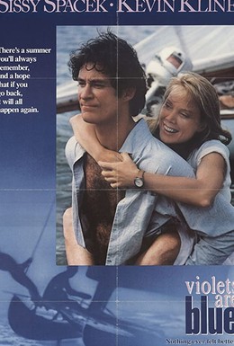 Постер фильма Фиалки синие (1986)