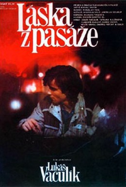 Постер фильма Любовь из пассажа (1985)