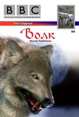 Постер фильма BBC: Волк (1997)