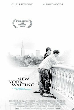 Постер фильма Нью-Йоркское ожидание (2006)