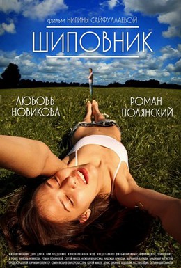 Постер фильма Шиповник (2011)