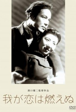 Постер фильма Наша любовь не погаснет (1949)