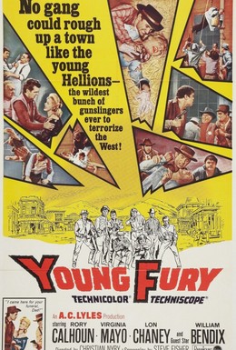 Постер фильма Молодая ярость (1964)