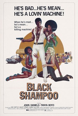 Постер фильма Чёрный шампунь (1976)