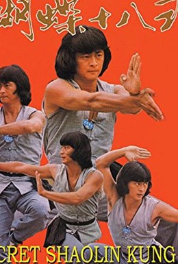 Постер фильма Секрет шаолиньского кунг-фу (1979)