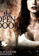 Открытая дверь (2008)