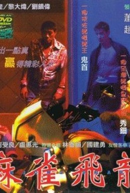 Постер фильма Дракон маджонга (1997)