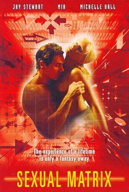 Постер фильма Секс-файлы: Секс-матрица (2000)