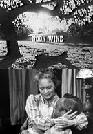 Полуденное вино (1966)