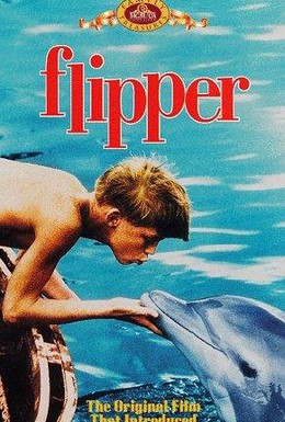 Постер фильма Флиппер (1963)