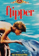 Флиппер (1963)