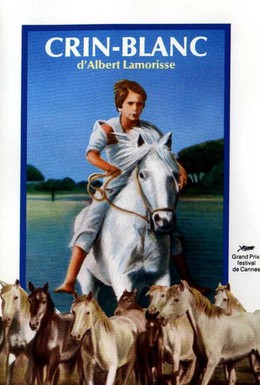 Постер фильма Белая грива: Дикая лошадь (1953)