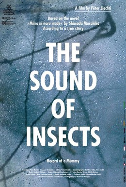 Постер фильма Звук насекомых: Дневник мумии (2009)