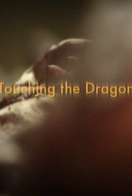 Постер фильма Nat Geo Wild: Приручить дракона (2013)