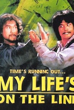 Постер фильма Моя жизнь на грани (1978)