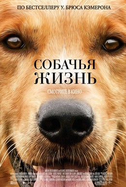 Постер фильма Собачья жизнь (2017)