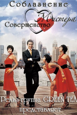 Постер фильма Соблазнение мистера Совершенство (2006)