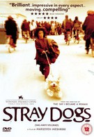 Бродячие собаки (2004)