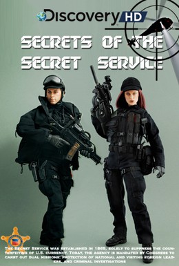 Постер фильма Тайны секретной службы (2009)