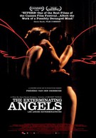 Ангелы возмездия (2006)