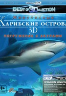 Карибские острова 3D: Погружение с акулами (2012)
