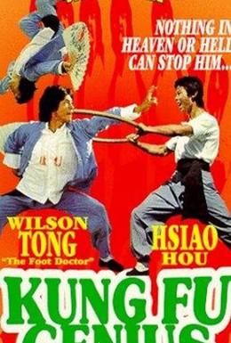 Постер фильма Гений кунг-фу (1979)
