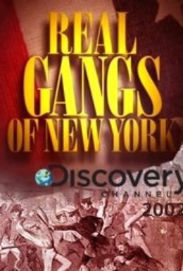 Постер фильма Discovery. Настоящие банды Нью-Йорка (2002)