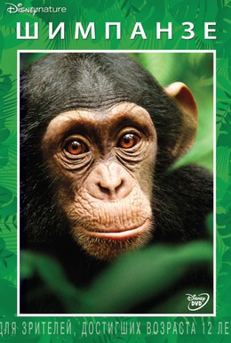 Постер фильма Шимпанзе (2012)