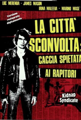 Постер фильма Шок в городе: Безжалостная охота на похитителей (1975)