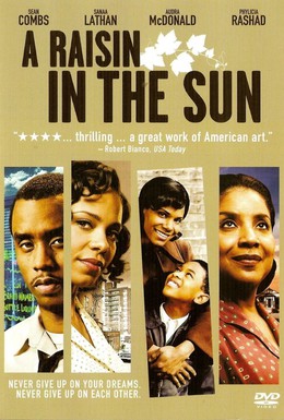 Постер фильма Изюм на солнце (2008)