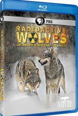 Постер фильма Радиоактивные волки Чернобыля (2011)