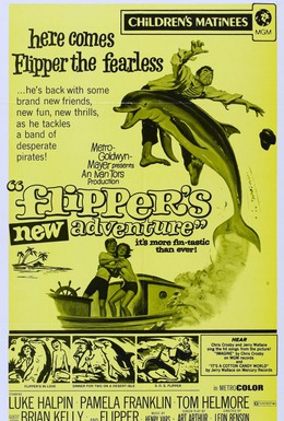 Постер фильма Новые приключения Флиппера (1964)