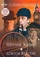 Приключения Шерлока Холмса и доктора Ватсона: Знакомство (1980)