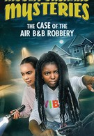 Hidden Orchard Mysteries: The Case of the Air B and B Robbery (2020)