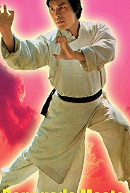 Постер фильма Мастер отступник (1977)