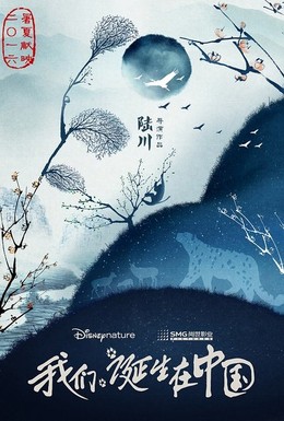 Постер фильма Рожденные в Китае (2016)