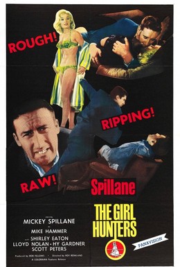Постер фильма Охотники на женщин (1963)