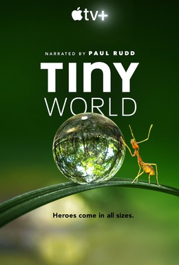 Постер фильма Крошечный мир (2020)