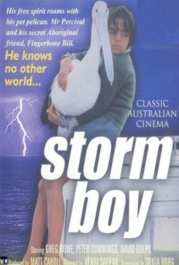 Постер фильма Мальчик и океан (1976)
