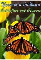 Цветы и бабочки (2008)
