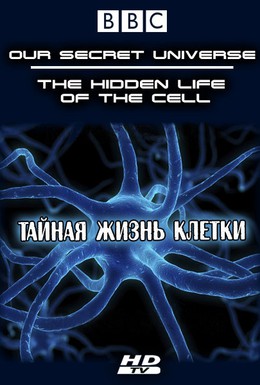 Постер фильма Внутренняя вселенная: Тайная жизнь клетки (2012)