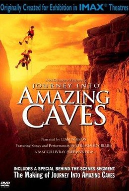Постер фильма Путешествие в удивительные пещеры (2001)