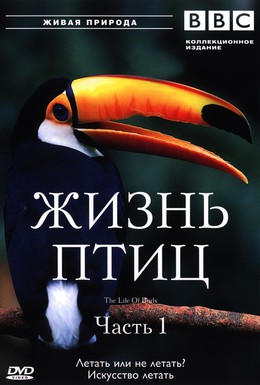 Постер фильма BBC: Жизнь птиц (1998)
