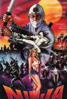 Постер фильма Мексиканский ниндзя (1991)
