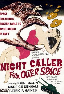 Постер фильма Ночной гость (1965)