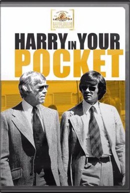 Постер фильма Гарри-карманник (1973)