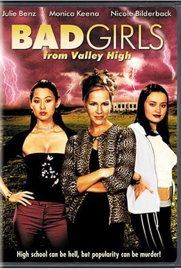 Постер фильма Плохие девчонки из высокой долины (2005)