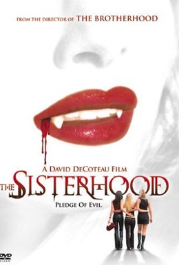 Постер фильма Сестринское братство (2004)
