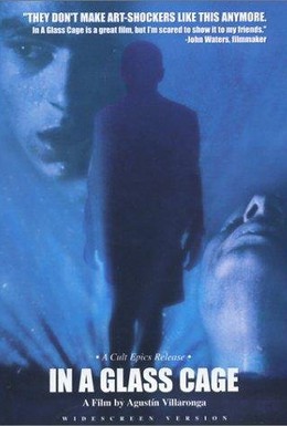Постер фильма За стеклом (1986)