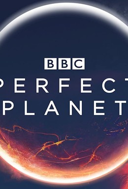 Постер фильма BBC: Идеальная планета (2021)